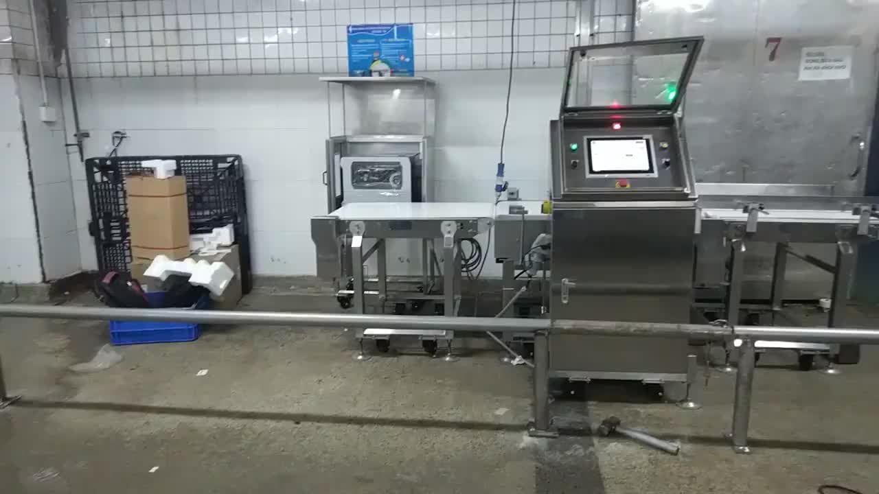 Hệ thống cân băng chuyền Dmax Weigh đặt trong dây chuyền nhà máy